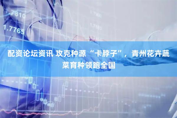配资论坛资讯 攻克种源 “卡脖子”，青州花卉蔬菜育种领跑全国